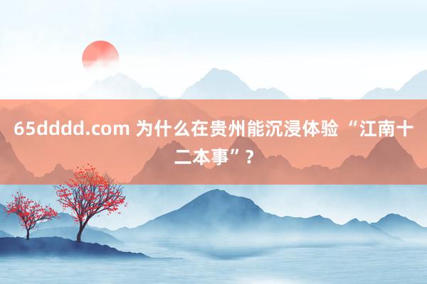 65dddd.com 为什么在贵州能沉浸体验 “江南十二本事”？