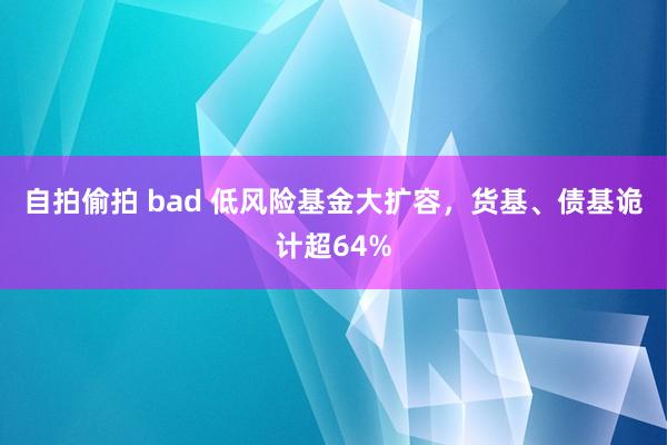 自拍偷拍 bad 低风险基金大扩容，货基、债基诡计超64%