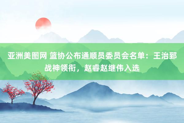 亚洲美图网 篮协公布通顺员委员会名单：王治郅战神领衔，赵睿赵继伟入选