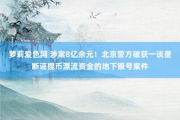 萝莉爱色网 涉案8亿余元！北京警方破获一谈垄断诬捏币漂流资金的地下银号案件