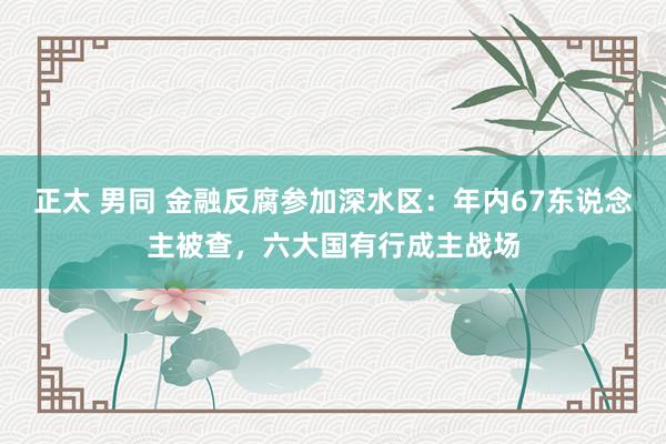 正太 男同 金融反腐参加深水区：年内67东说念主被查，六大国有行成主战场