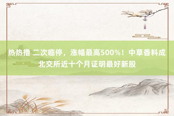 热热撸 二次临停，涨幅最高500%！中草香料成北交所近十个月证明最好新股