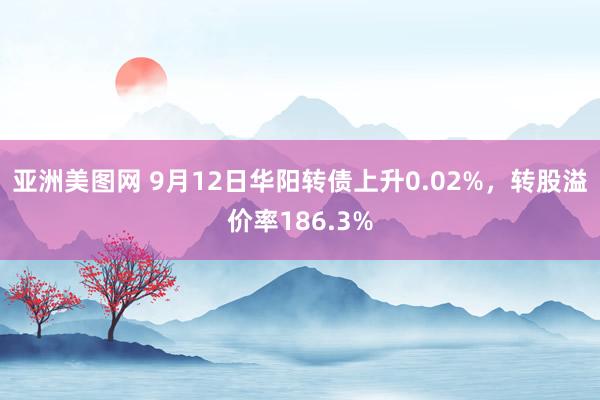 亚洲美图网 9月12日华阳转债上升0.02%，转股溢价率186.3%