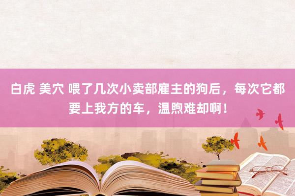 白虎 美穴 喂了几次小卖部雇主的狗后，每次它都要上我方的车，温煦难却啊！