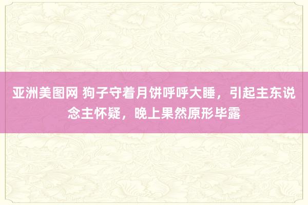 亚洲美图网 狗子守着月饼呼呼大睡，引起主东说念主怀疑，晚上果然原形毕露