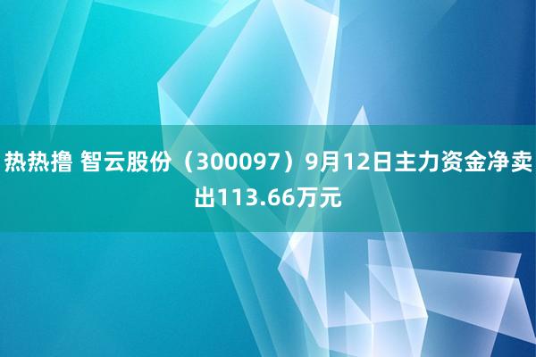 热热撸 智云股份（300097）9月12日主力资金净卖出113.66万元