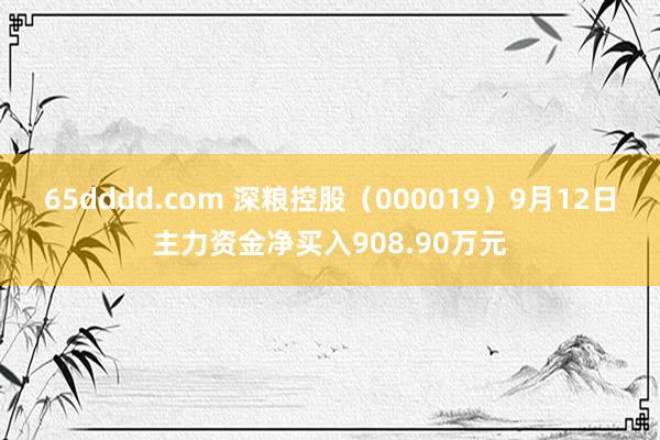 65dddd.com 深粮控股（000019）9月12日主力资金净买入908.90万元