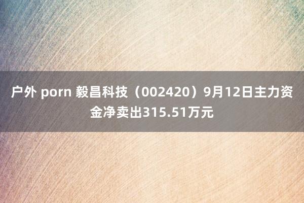 户外 porn 毅昌科技（002420）9月12日主力资金净卖出315.51万元