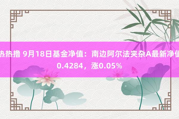 热热撸 9月18日基金净值：南边阿尔法夹杂A最新净值0.4284，涨0.05%