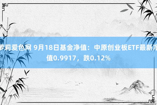 萝莉爱色网 9月18日基金净值：中原创业板ETF最新净值0.9917，跌0.12%