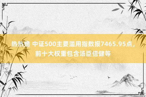 热热撸 中证500主要滥用指数报7465.95点，前十大权重包含汤臣倍健等