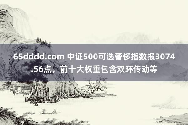 65dddd.com 中证500可选奢侈指数报3074.56点，前十大权重包含双环传动等