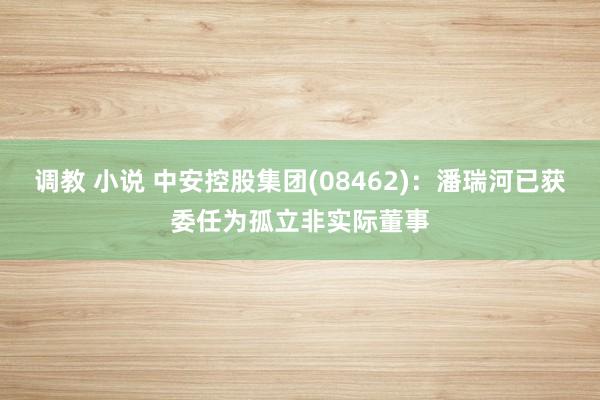 调教 小说 中安控股集团(08462)：潘瑞河已获委任为孤立非实际董事