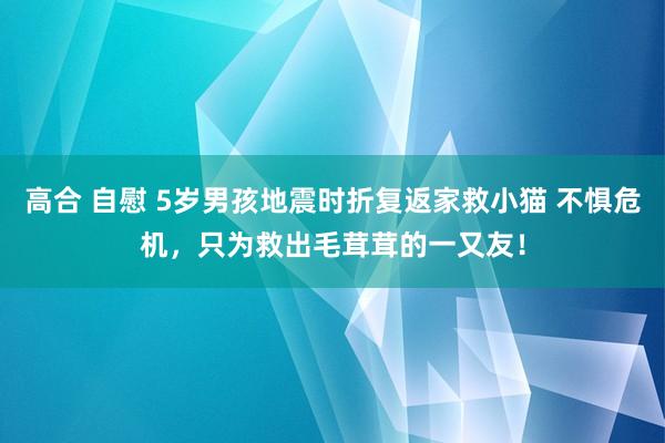 高合 自慰 5岁男孩地震时折复返家救小猫 不惧危机，只为救出毛茸茸的一又友！