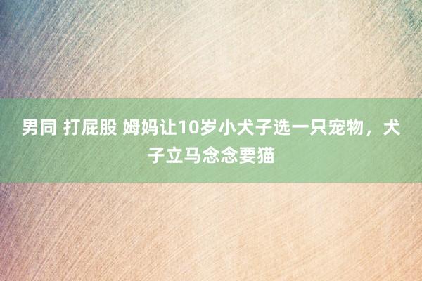 男同 打屁股 姆妈让10岁小犬子选一只宠物，犬子立马念念要猫