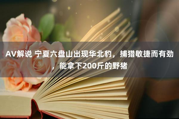 AV解说 宁夏六盘山出现华北豹，捕猎敏捷而有劲，能拿下200斤的野猪