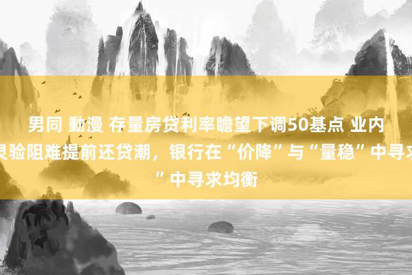 男同 動漫 存量房贷利率瞻望下调50基点 业内：将灵验阻难提前还贷潮，银行在“价降”与“量稳”中寻求均衡