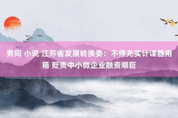 男同 小说 江苏省发展转换委：不停充实计谋器用箱 贬责中小微企业融资艰巨