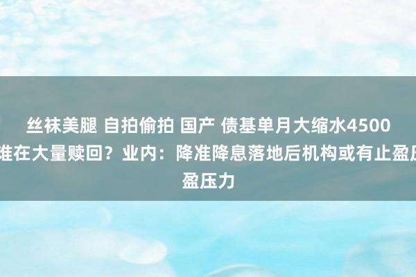 丝袜美腿 自拍偷拍 国产 债基单月大缩水4500亿 谁在大量赎回？业内：降准降息落地后机构或有止盈压力