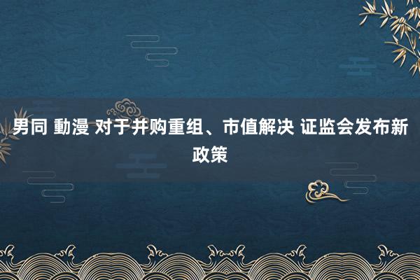 男同 動漫 对于并购重组、市值解决 证监会发布新政策