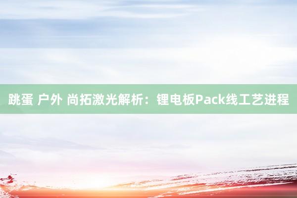 跳蛋 户外 尚拓激光解析：锂电板Pack线工艺进程