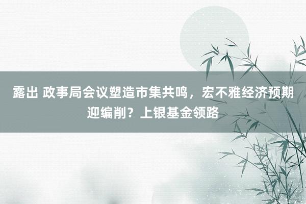 露出 政事局会议塑造市集共鸣，宏不雅经济预期迎编削？上银基金领路