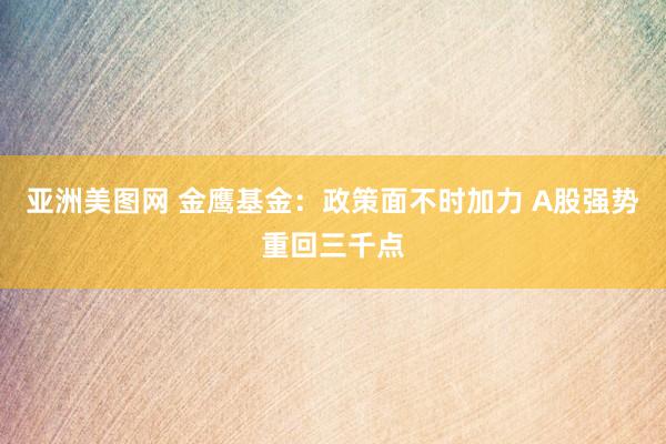 亚洲美图网 金鹰基金：政策面不时加力 A股强势重回三千点