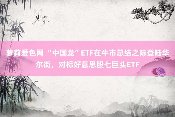 萝莉爱色网 “中国龙”ETF在牛市总结之际登陆华尔街，对标好意思股七巨头ETF