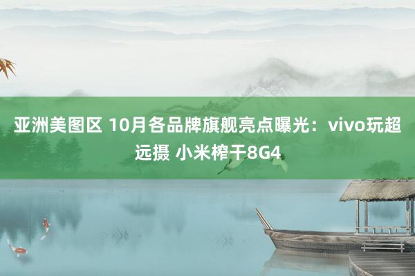 亚洲美图区 10月各品牌旗舰亮点曝光：vivo玩超远摄 小米榨干8G4