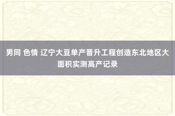 男同 色情 辽宁大豆单产晋升工程创造东北地区大面积实测高产记录