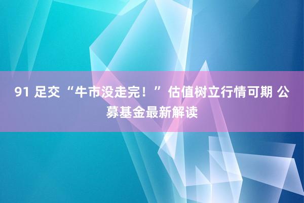 91 足交 “牛市没走完！” 估值树立行情可期 公募基金最新解读