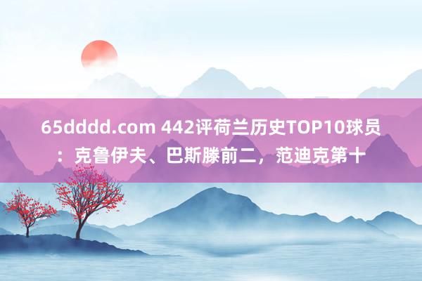 65dddd.com 442评荷兰历史TOP10球员：克鲁伊夫、巴斯滕前二，范迪克第十