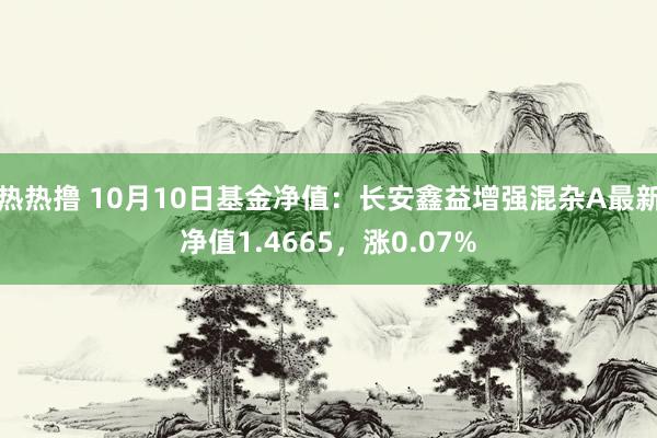 热热撸 10月10日基金净值：长安鑫益增强混杂A最新净值1.4665，涨0.07%