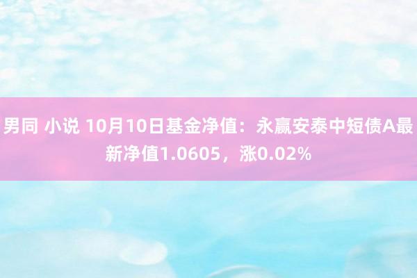 男同 小说 10月10日基金净值：永赢安泰中短债A最新净值1.0605，涨0.02%