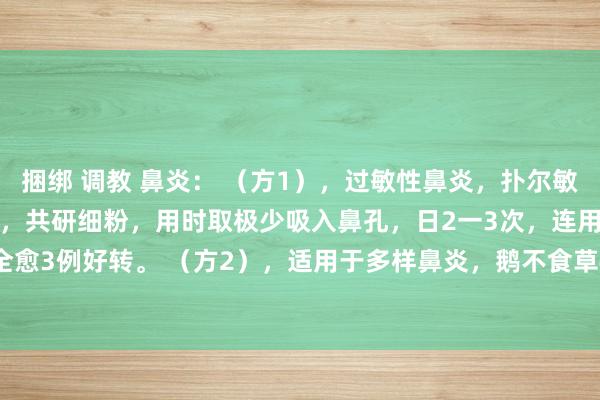 捆绑 调教 鼻炎： （方1），过敏性鼻炎，扑尔敏100片，龙脑2g。用法，共研细粉，用时取极少吸入鼻孔，日2一3次，连用7日，治83例80例全愈3例好转。 （方2），适用于多样鼻炎，鹅不食草4g白芷4g细辛12g苍耳子10g薄荷2g川芎3g