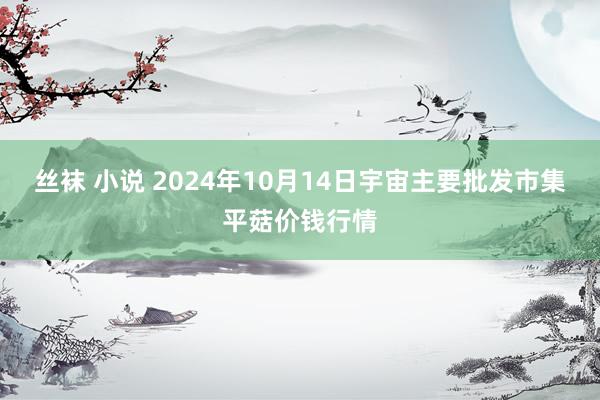 丝袜 小说 2024年10月14日宇宙主要批发市集平菇价钱行情