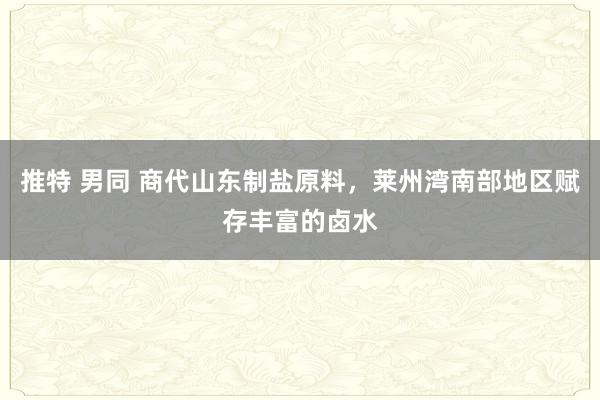 推特 男同 商代山东制盐原料，莱州湾南部地区赋存丰富的卤水