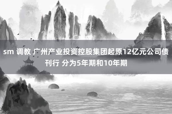 sm 调教 广州产业投资控股集团起原12亿元公司债刊行 分为5年期和10年期