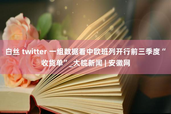 白丝 twitter 一组数据看中欧班列开行前三季度“收货单”_大皖新闻 | 安徽网