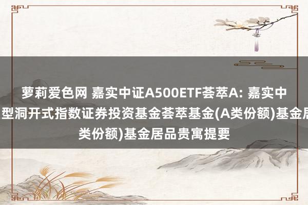 萝莉爱色网 嘉实中证A500ETF荟萃A: 嘉实中证A500往复型洞开式指数证券投资基金荟萃基金(A类份额)基金居品贵寓提要