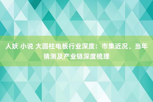 人妖 小说 大圆柱电板行业深度：市集近况、当年猜测及产业链深度梳理