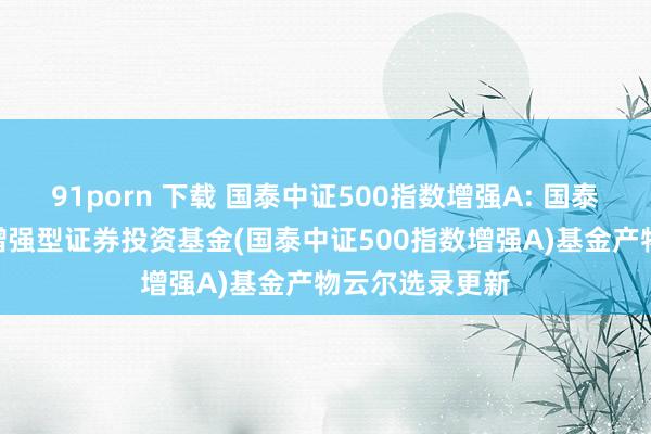 91porn 下载 国泰中证500指数增强A: 国泰中证500指数增强型证券投资基金(国泰中证500指数增强A)基金产物云尔选录更新