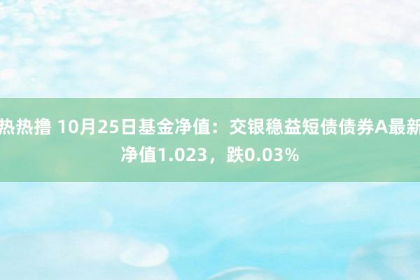 热热撸 10月25日基金净值：交银稳益短债债券A最新净值1.023，跌0.03%