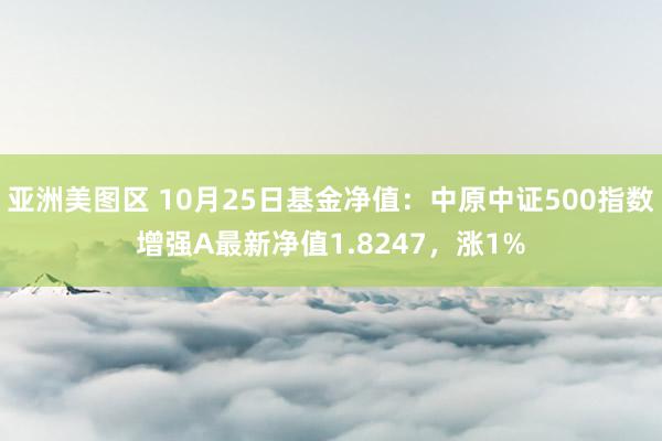 亚洲美图区 10月25日基金净值：中原中证500指数增强A最新净值1.8247，涨1%