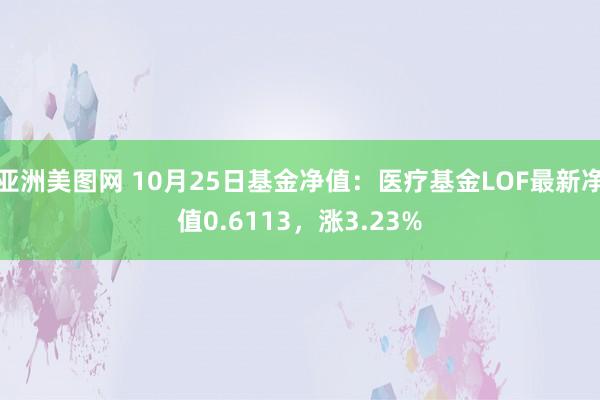 亚洲美图网 10月25日基金净值：医疗基金LOF最新净值0.6113，涨3.23%