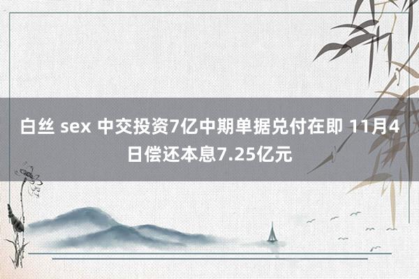 白丝 sex 中交投资7亿中期单据兑付在即 11月4日偿还本息7.25亿元