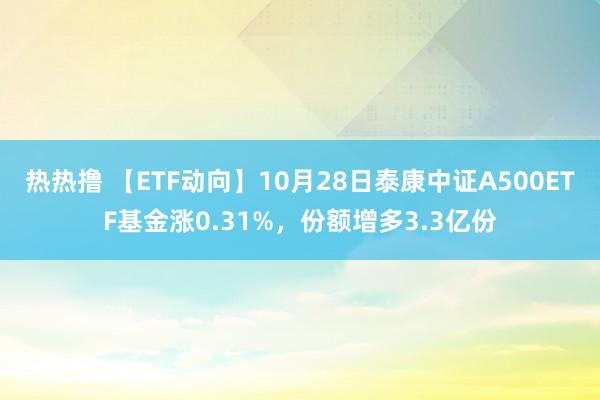 热热撸 【ETF动向】10月28日泰康中证A500ETF基金涨0.31%，份额增多3.3亿份