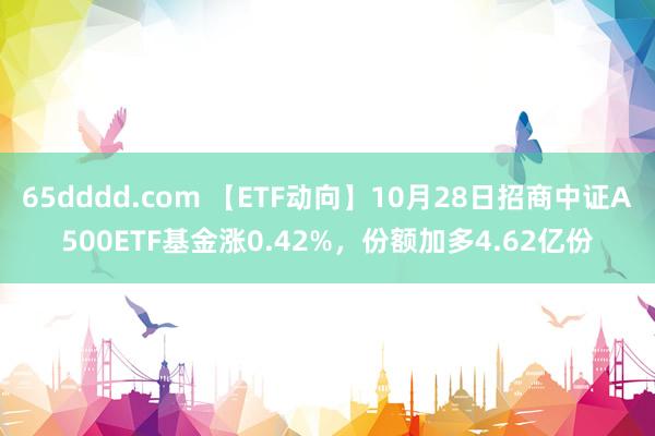 65dddd.com 【ETF动向】10月28日招商中证A500ETF基金涨0.42%，份额加多4.62亿份