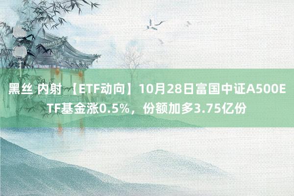 黑丝 内射 【ETF动向】10月28日富国中证A500ETF基金涨0.5%，份额加多3.75亿份