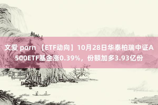 文爱 porn 【ETF动向】10月28日华泰柏瑞中证A500ETF基金涨0.39%，份额加多3.93亿份